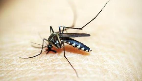 Los actuales sistemas de alerta temprana del dengue utilizan indicadores climáticos, como las precipitaciones y la temperatura, para predecir las tendencias de la enfermedad. (Foto: archivo)