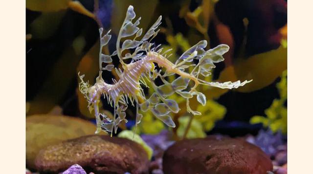 Dallas World Aquarium, Dallas, Texas. “Mas que un aquarium parece un mini zoo! Bellisimo!”