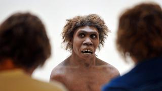 La forma de la nariz humana, una herencia neandertal y una ventaja evolutiva