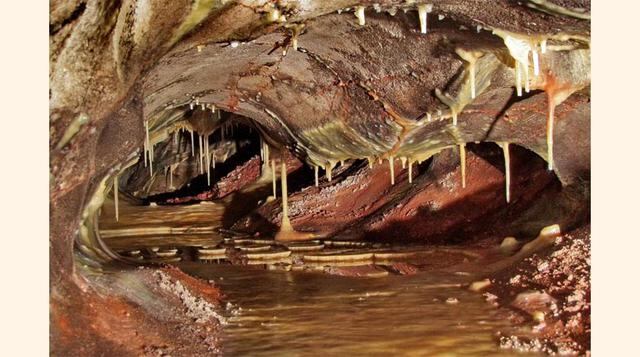 Wind Cave, en Dakota del Sur, contiene algunas de las cavidades más grandes y complejas del mundo.(foto: elconfidencial).