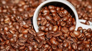 Productores nacionales de café se ven favorecidos por alza del precio internacional, afirma JNC