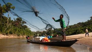 Hallan por primera vez microplásticos en peces de la Amazonía peruana