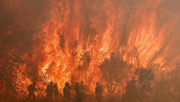 Los bomberos operan en el lugar de un incendio forestal en Pumarejo de Tera, cerca de Zamora, en el norte de España.