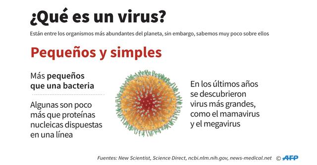 FOTO 2 | Pequeños y simples. Más pequeños
que una bacteria. Algunas son poco más que proteínas
nucleicas dispuestas en una línea.