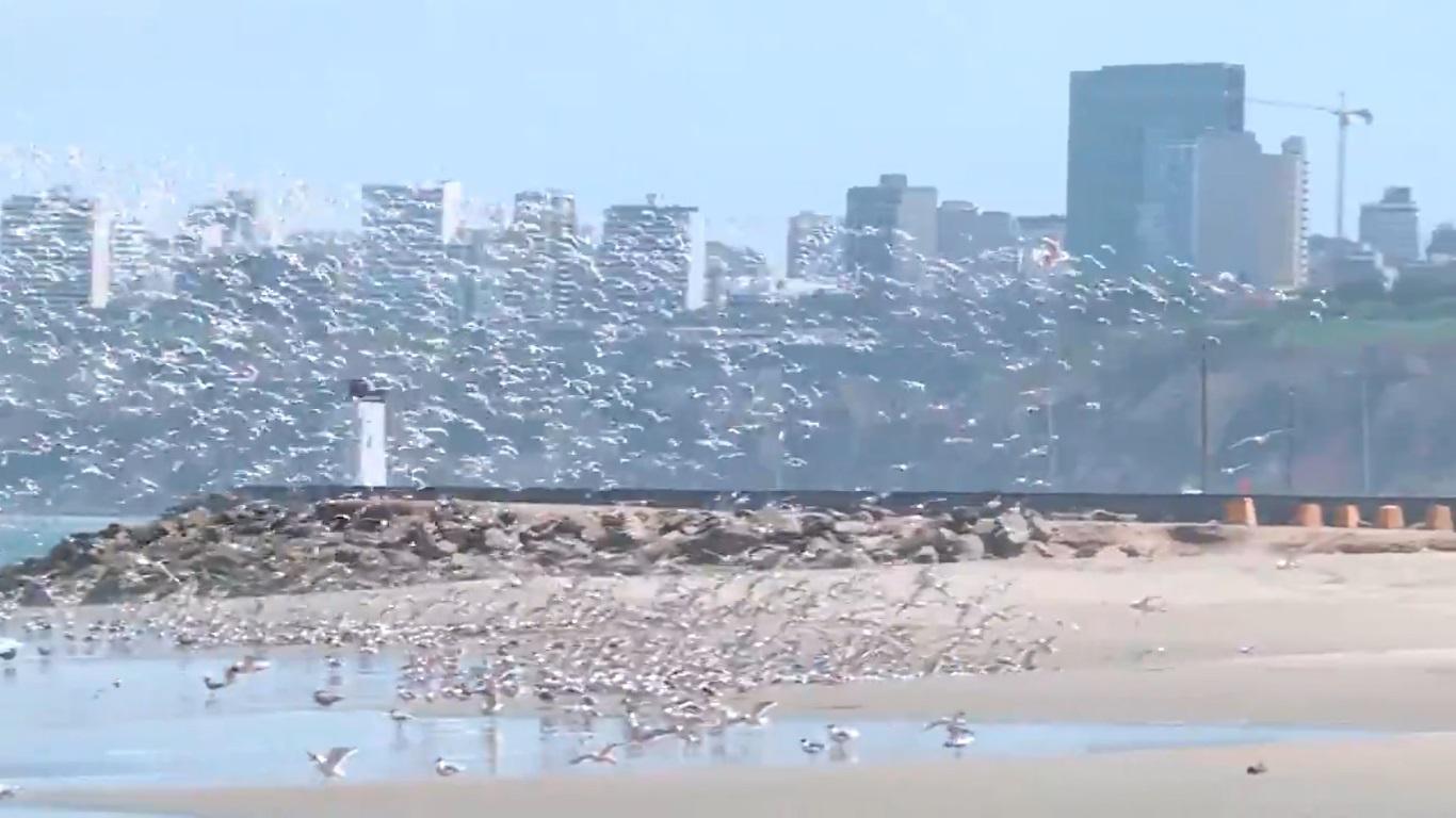 Agua Dulce durante la cuarentena. (Foto: Twitter)