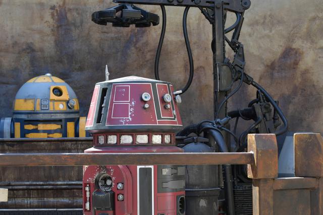 Androides de "Star Wars" en el parque de diversiones (Foto: AFP)