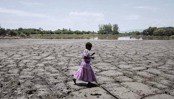 Este proyecto de la FAO es “una herramienta fundamental para detener la salinización e impulsar la productividad”, así como para poder gestionar los suelos que ya están afectados por salinidad. (Foto: FAO)
