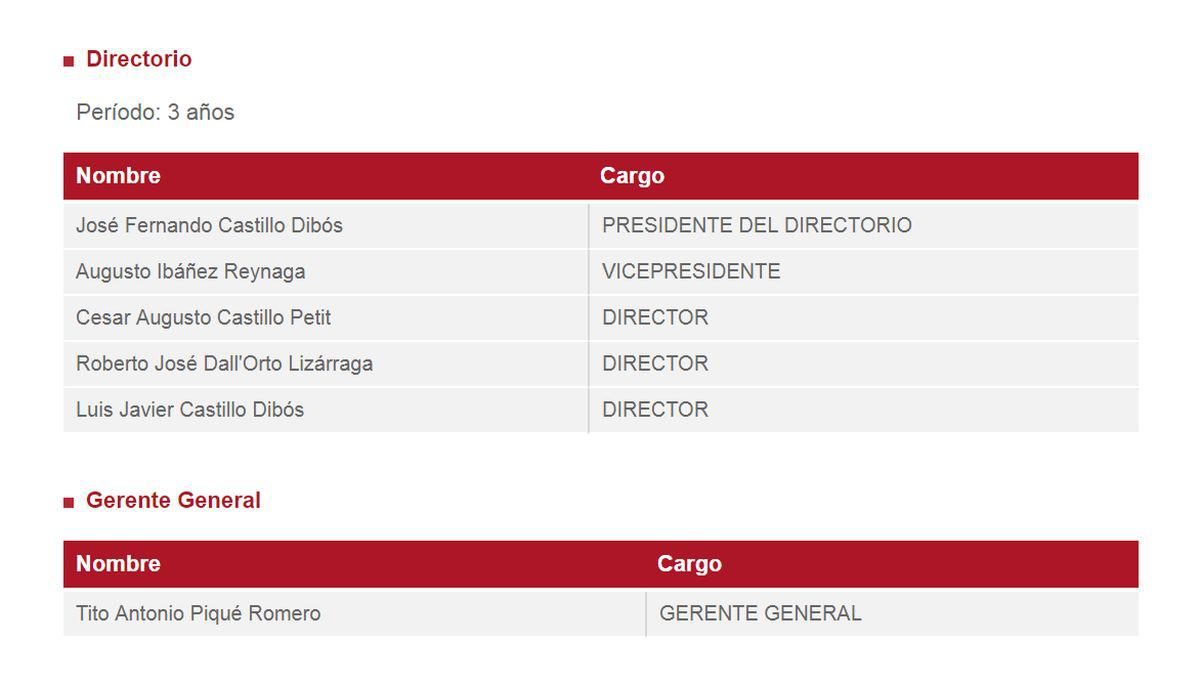 ICCGSA INVERSIONES S.A.