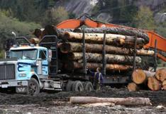 EE.UU. concluye que Canadá le vende madera a precio de dumping