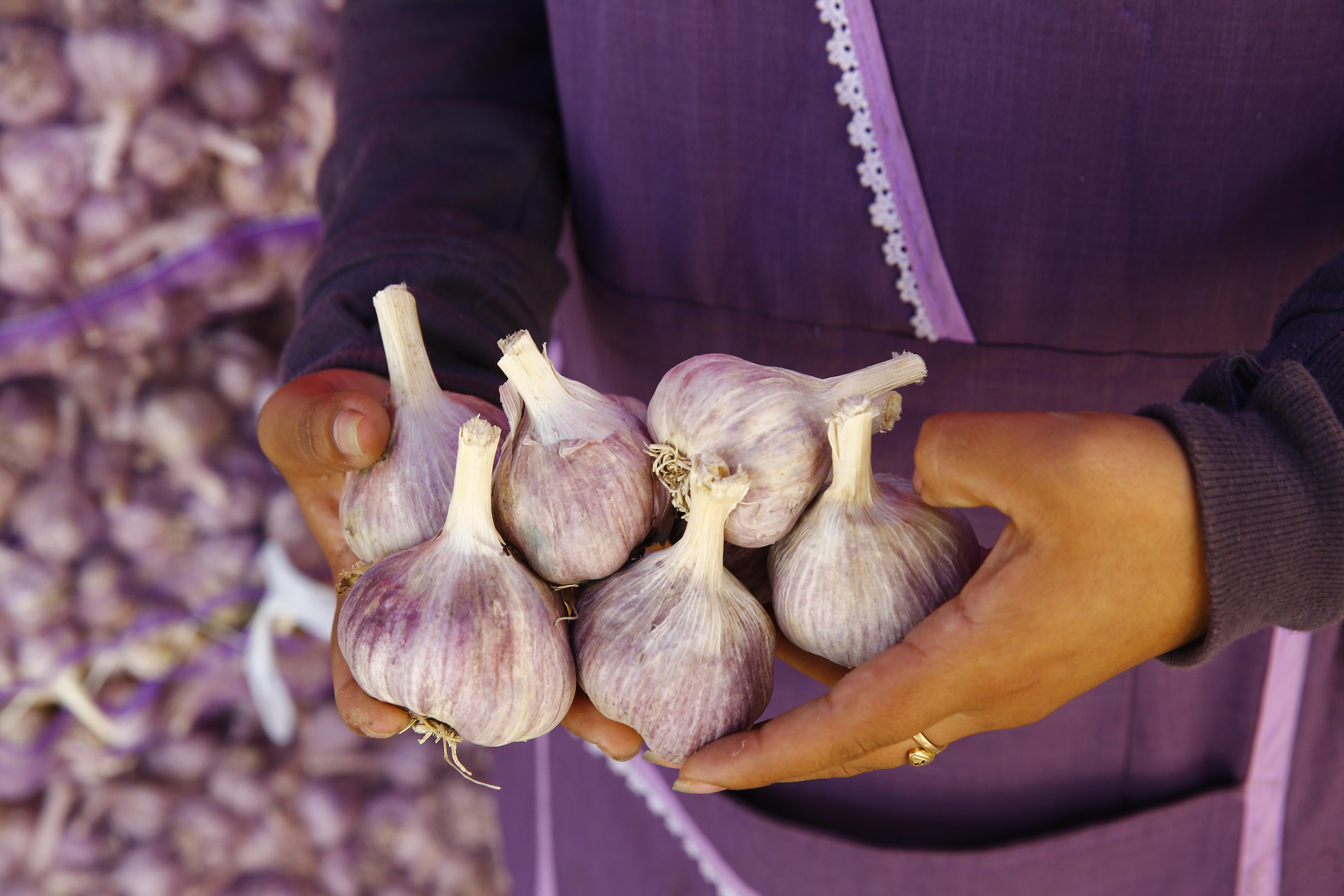 Minagri aseguró que, pese al alza reflejada de enero a marzo, el precio del ajo se encuentra estable y que es común observar que se venda entre S/ 8 y S/ 9 el kilo. (Foto: GEC)