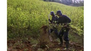 Colombia no debe frenar lucha contra narcotráfico, dice Estados Unidos
