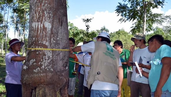 El Organismo de Supervisión de los Recursos Forestales y de Fauna Silvestre previene y sanciona las infracciones cometidas en contra del patrimonio natural del país.