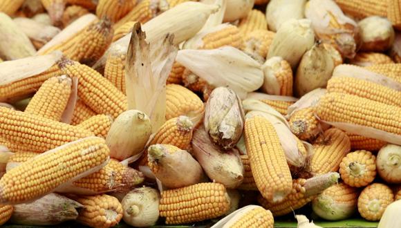 El maíz, fundamental para elaborar tamales y alimento básico en la dieta mexicana, fue el segundo producto que más contribuyó a la inflación el año pasado, según la organización económica “México, ¿cómo vamos?”. (Foto: Reuters)