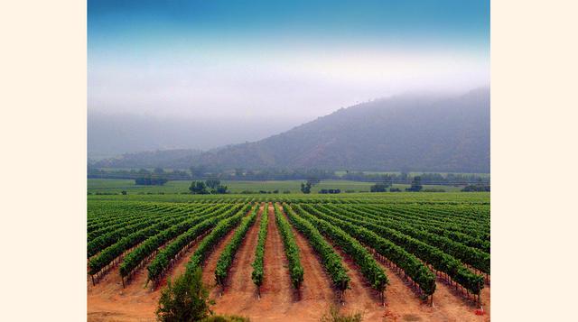Chile. El país vecino es otro de los favoritos por las parejas amantes del vino. Los valles de Maipo y de Millahue figuran entre los viñedos más visitados. (Foto: Mapio)