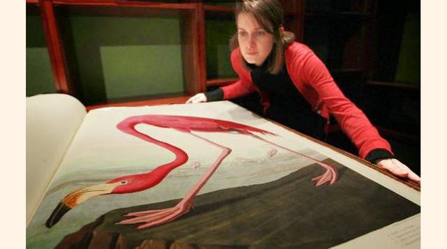 Las aves de América. Este libro recopila una serie de pinturas de aves hechas en tamaño natural por el naturalista John James Audubon, originario de Haití. Él fue pieza clave en el desarrollo de El Origen de las Especies de Charles Darwin. En el año 2000 