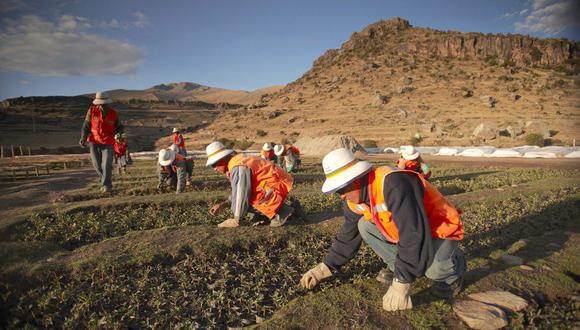 El próximo año se invertirán S/ 270 millones para remediar pasivos en 10 regiones del Perú. (Foto: Difusión)