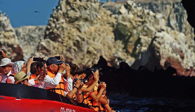 Foto 1 | En las Islas Cavinzas e islotes Palomino (Callao) los visitantes tendrán la oportunidad de admirar la segunda colonia de lobos marinos más grande del litoral peruano, con hasta más de 7,500 ejemplares.