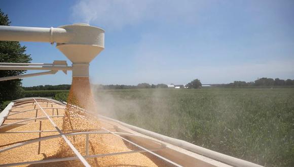 Carga de maíz en una granja en Tiskilwa, Illinois, Estados Unidos, el 6 de julio de 2018. (REUTERS/Daniel Acker)