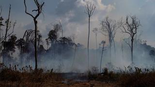 Todo lo que debe saber sobre los incendios que acechan la Amazonía