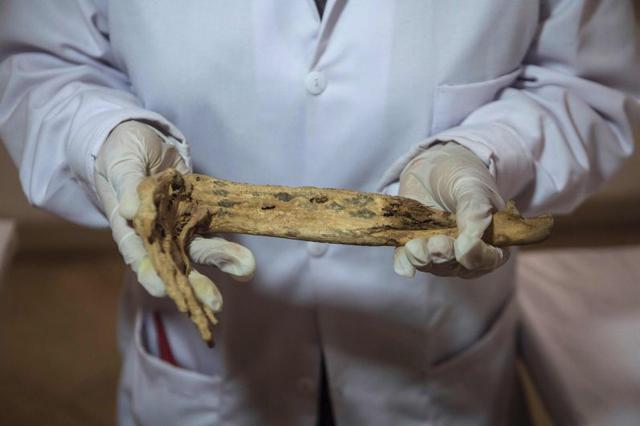 Para los arqueólogos el trabajo de recuperar los sitios fue duro. Todo estaba cubierto de plantas; ademas, las huacas habían sido saqueadas, profanadas e invadidas de desperdicios. Debieron cercarlas para evitar invasiones. Luego de casi quince años de la