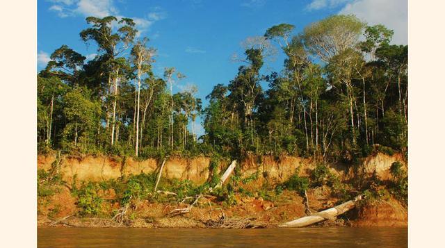 Parque nacional de Manu.