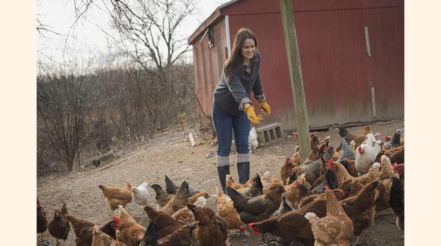 17. Farmcation (EE.UU.). (foto:traveler).