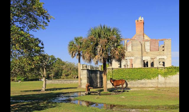 Foto 16 | CUMBERLAND ISLAND (GEORGIA). La isla de Cumberland es el punto más occidental de la costa del Océano Atlántico en los Estados Unidos. Todavía no está muy explorada. Es un lugar tranquilo y perfecto para descansar, con personas acogedoras.