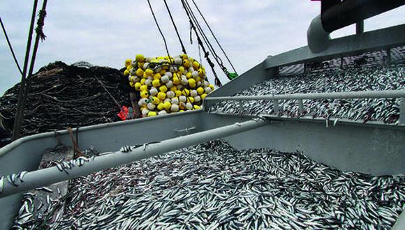 Mañana culmina la temporada de pesca de anchoveta. (Foto: GEC)