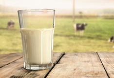 Producción de leche en Perú aumentó en casi 100,000 toneladas el último año