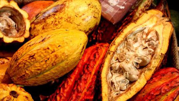 Las exportaciones de cacao fino brasileño llegaron a 616 toneladas en el 2018, principalmente destinadas a Japón, Francia y Holanda.