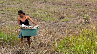 Pobreza multidimensional: 36% de peruanos tiene acceso insuficiente a alimentos