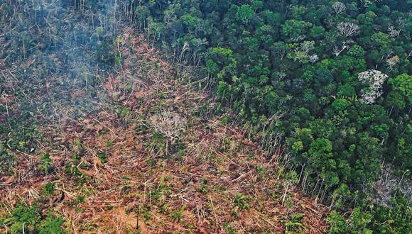 La importación de productos a la UE se prohibirá si estos proceden de tierras deforestadas después de diciembre del 2020. (Foto: AFP)