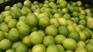 Agricultura: Se viene 'avalancha' de limones piuranos para Lima