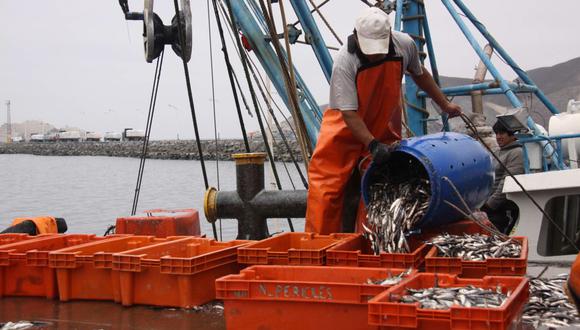 La pesca exploratoria de anchoveta empieza el 4 de mayo. (Foto: GEC)