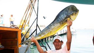 Trece empresas apuntan al mejoramiento pesquero del perico peruano 