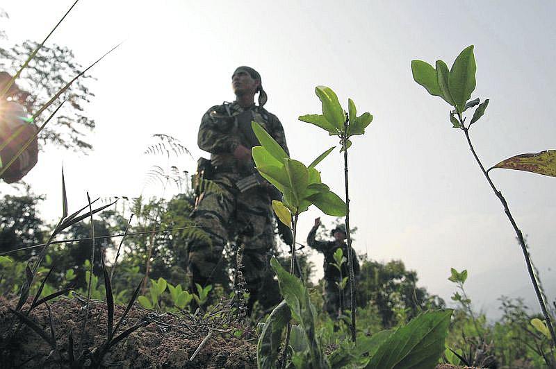 Los precios de las hojas de coca vendidas a las bandas de narcotraficantes han caído 70% desde que el Perú entró en cuarentena el mes pasado.