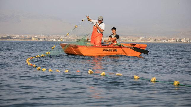 Las primeras campañas empezarán en septiembre. (Foto: Produce)
