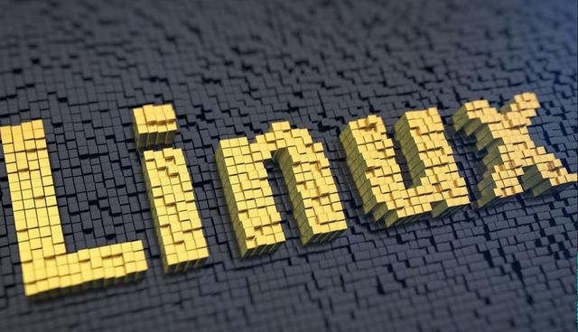 Foto 17 | Puesto 17. Linux. Es un sistema operativo libre tipo Unix; multiplataforma, multiusuario y multitarea. El sistema es la combinación de varios proyectos, entre los cuales destacan GNU y el núcleo Linux. (Foto: News4C)