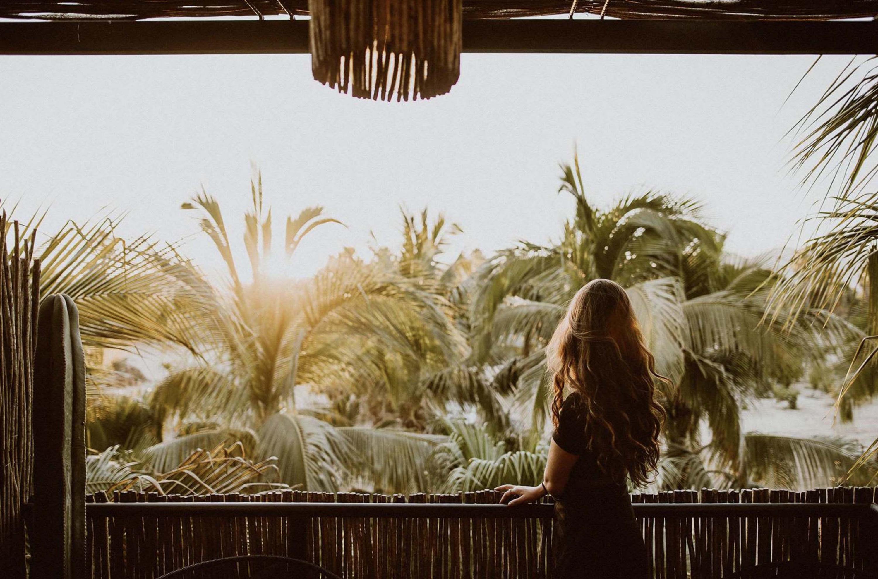 FOTO 1 | Acre San José del Cabo, México
Ya era famoso por su restaurante orgánico y su bar de cócteles artesanales antes de que le añadieran 12 cabañas aupadas a los árboles. Rústicas y muy, muy bonitas –están hechas de ramas de árboles locales y tienen duchas exteriores y wifi de alta velocidad– se han convertido en el nido de amor favorito de los californianos y chilangos –jóvenes y guapos– que quieren explorar la región más allá de los muros de un hotel. LO + HOT No está en la playa, sino en una finca agrícola del pueblecito de San José del Cabo, un pequeño oasis auténticamente mexicano en este rincón saturado de campos de golf.