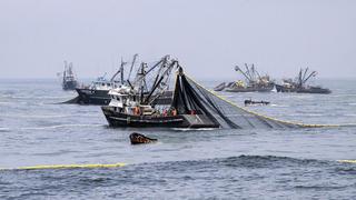 Produce extiende suspensión de pesca de anchoveta, esperará reporte de Imarpe