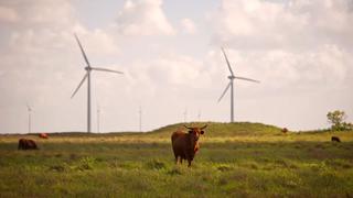 Energía eólica de Texas falla justo cuando estado más la necesita