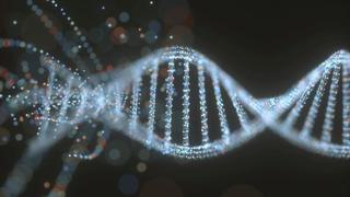 Descubrimiento de ADN en las células es en 2018 el "Descubrimiento del Año" para revista Science
