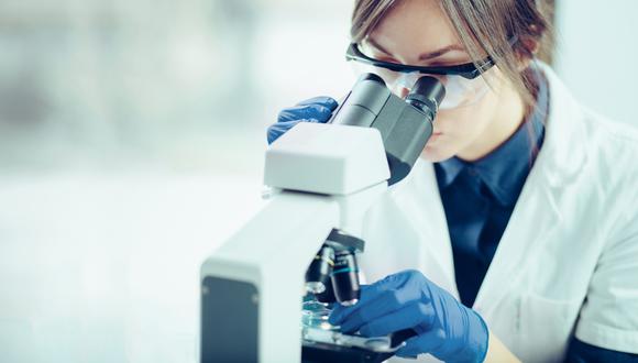 Para hacer los ensayos, los investigadores han utilizado minirriñones desarrollados a partir de células madre humanas. (Foto referencial: Shutterstock)
