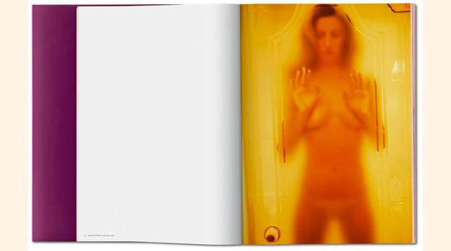 Contiene fotos tomadas por David LaChapelle, Juergen Teller, Inez