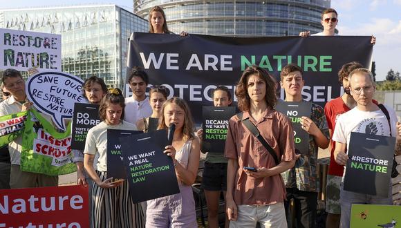 A esta concentración también se sumó la joven activista climática Greta Thunberg con un mensaje para los diputados que aún dudan qué votar este miércoles. (Foto: EFEverde)