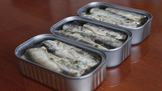 Conservas de caballa (Foto USI)