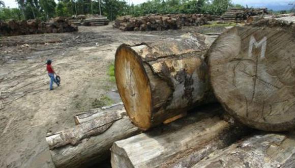 Según la fiscalía, en agosto de 2015 Global Plywood compró unos 1,135 metros cúbicos de madera de tres proveedores peruanos. (Foto: Bloomberg).