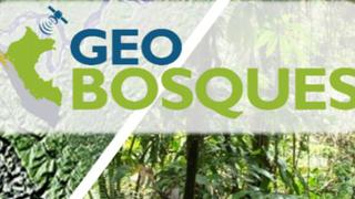 Minam presenta portal de alertas tempranas de deforestación, 'Geo Bosques'