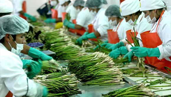 Agroexportaciones peruanas lograrán récord histórico en el 2022, informó ADEX | RMMN | ECONOMIA | GESTIÓN