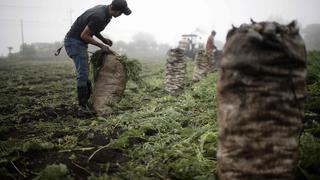 La empresa Rainforest Ecuador rechaza las acusaciones de despojo de tierras a campesinos